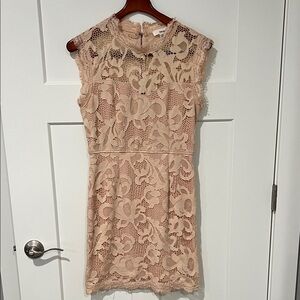 Sans Souci Lace Mini Dress in Blush Sz L